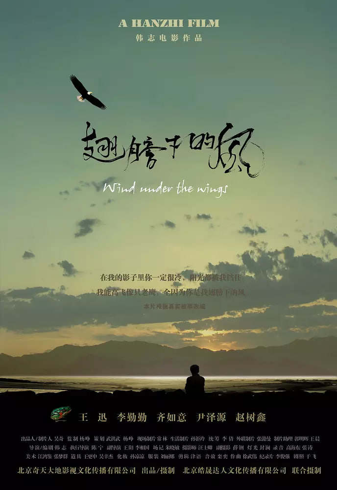 翅膀下的风(全集)